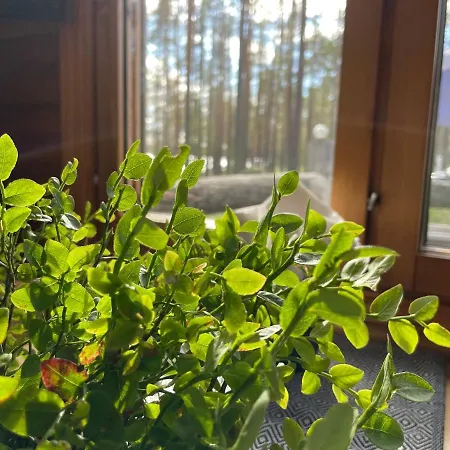 Hossanportti Piispajarvi